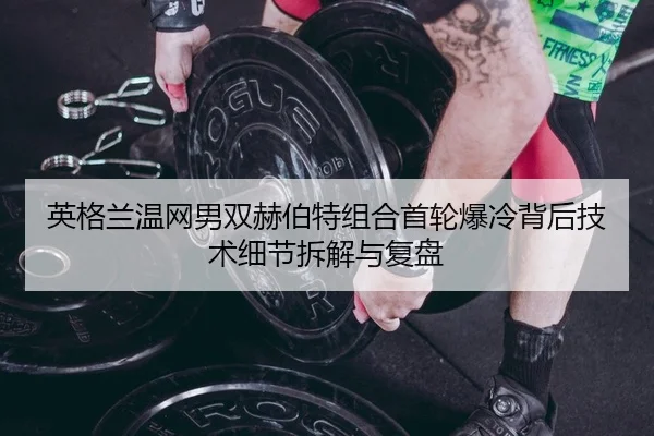 ying-ge-lan-wen-wang-nan-shuang-he-bo-te-zu-he-shou-lun-bao-leng-bei-hou-ji-shu-xi-jie-chai-jie-yu-fu-pan-2-654.jpg